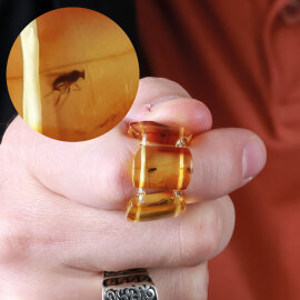 Bracklet Amber - Sinek Fosiili Damla Kehribar Bileklik - 3