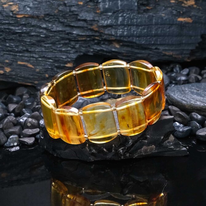 Premiım Class Sinek Fosilli Kehribar Bileklik - Tesbihcibaba